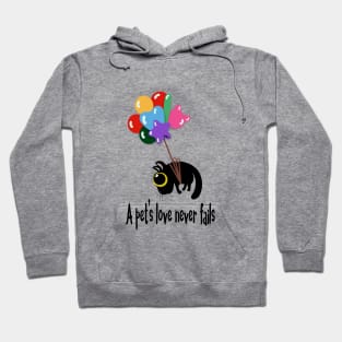 Gatito y Globos Hoodie